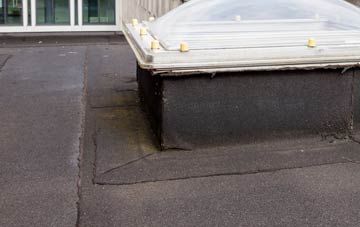 disadvantages of Ninewells flat roofs