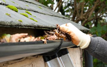 gutter cleaning Ninewells