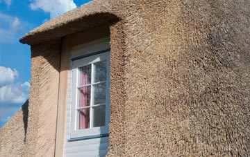 Ninewells thatch roof disadvantages